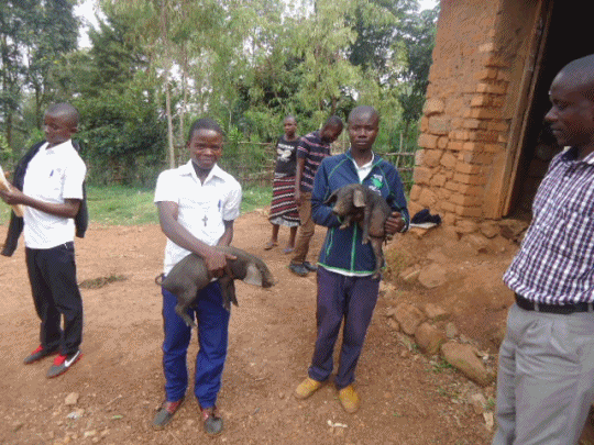 Katudwe Institute youths with pigs