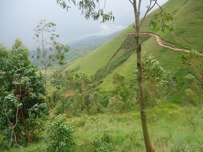 View from a Mountian side looking at the verdant Valley